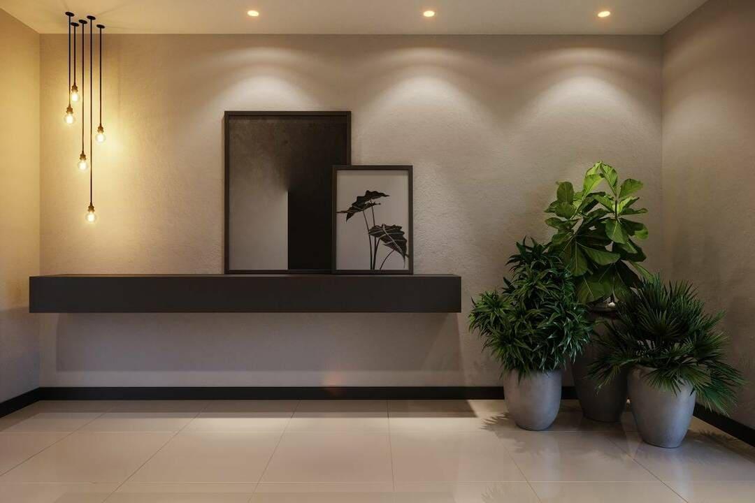 showcase