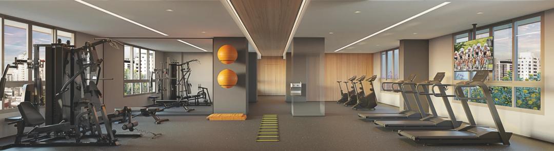 showcase